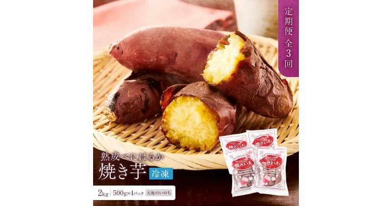 【ふるさと納税】【定期便 全3回】蜜がたっぷり♪熟成べにはるか 焼き芋（冷凍）2kg（500g×4P）＜大地のいのち＞ | 干し芋 ほしいも サツマイモ さつまいも 紅はるか スイーツ おやつ 国産 お土産 お取り寄せ 小分け お楽しみ 長崎 菓子 野菜 人気 おすすめ 送料無料 2キロ