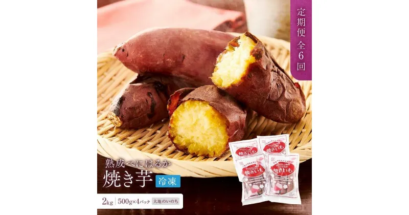 【ふるさと納税】【定期便 全6回】蜜がたっぷり♪熟成べにはるか 焼き芋（冷凍）2kg（500g×4P）＜大地のいのち＞ | 干し芋 ほしいも サツマイモ さつまいも 紅はるか スイーツ おやつ 国産 お土産 お取り寄せ 小分け お楽しみ 長崎 菓子 野菜 人気 おすすめ 送料無料 2キロ