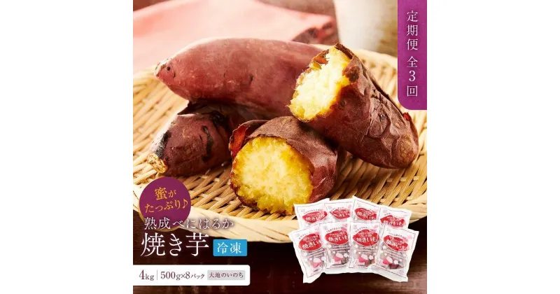 【ふるさと納税】【定期便 全3回】蜜がたっぷり♪熟成べにはるか 焼き芋（冷凍）4kg（500g×8P）＜大地のいのち＞ | 干し芋 ほしいも サツマイモ さつまいも 紅はるか スイーツ おやつ 国産 お土産 お取り寄せ 小分け お楽しみ 長崎 菓子 野菜 人気 おすすめ 送料無料 4キロ