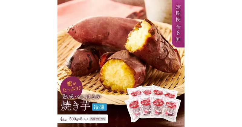 【ふるさと納税】【定期便 全6回】蜜がたっぷり♪熟成べにはるか 焼き芋（冷凍）4kg（500g×8P）＜大地のいのち＞ | 干し芋 ほしいも サツマイモ さつまいも 紅はるか スイーツ おやつ 国産 お土産 お取り寄せ 小分け お楽しみ 長崎 菓子 野菜 人気 おすすめ 送料無料 4キロ