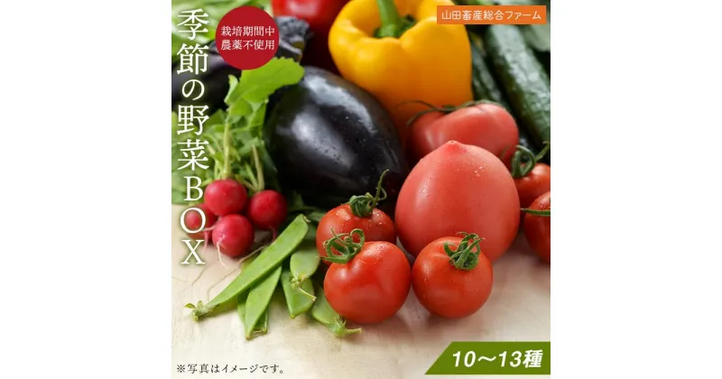 【ふるさと納税】長崎県産　季節野菜 BOX 10～13種 詰め合わせ＜山田畜産総合ファーム＞