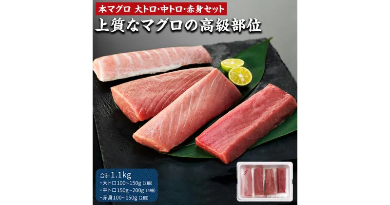 【ふるさと納税】【上質なマグロの高級部位】本マグロセット 計1.1kg（大トロ・中トロ・赤身） | 鮪 トロ 赤み あかみ 魚 さかな 刺し身 刺身 さしみ 魚介 海鮮 海鮮丼 海の幸 養殖 冷凍 生食用 食べ比べ 食べくらべ お取り寄せ グルメ 人気 おすすめ 長崎県