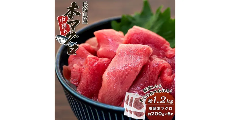 【ふるさと納税】長崎県産 本マグロ中落ち 約1.2kg（約200g×6パック）セット | マグロ 鮪 中落 小分け 刺身 養殖 海鮮丼 手巻き寿司 魚介類 海鮮 高級 お取り寄せ グルメ ギフト おつまみ 長崎 まぐろ 送料無料 九州