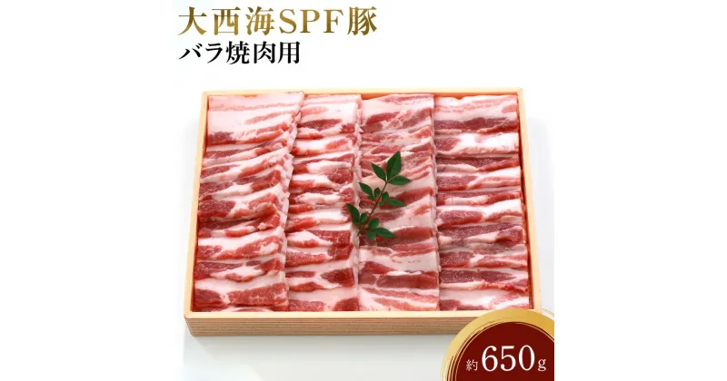 【ふるさと納税】大西海SPF豚 バラ焼肉用 約650g | 長崎県 九州 豚 豚肉 にく 豚バラ 焼き肉 焼肉 長崎和牛 お取り寄せ ふるさと 支援 支援品 納税