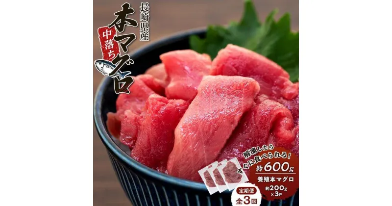 【ふるさと納税】【3回 定期便】長崎県産 本マグロ中落ち 約600g（約200g×3P） | マグロ 鮪 中落 小分け 刺身 養殖 海鮮丼 手巻き寿司 魚介類 海鮮 高級 お取り寄せ グルメ ギフト おつまみ 長崎 まぐろ 送料無料 九州 お楽しみ