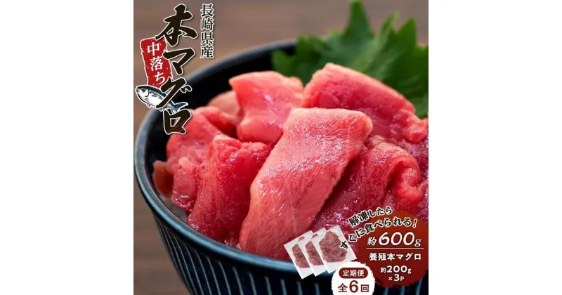 【ふるさと納税】【6回 定期便】長崎県産 本マグロ中落ち 約600g（約200g×3P） | マグロ 鮪 中落 小分け 刺身 養殖 海鮮丼 手巻き寿司 魚介類 海鮮 高級 お取り寄せ グルメ ギフト おつまみ 長崎 まぐろ 送料無料 九州 お楽しみ