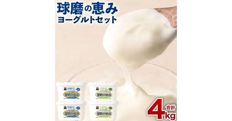 【ふるさと納税】 球磨の恵みヨーグルトセット 加糖・砂糖不使用 1000g×各2個セット 合計4個 4000g 球磨の恵み くまのめぐみ ヨーグルト セット 生乳 スイーツ 乳製品 熊本県産 国産 冷蔵 送料無料