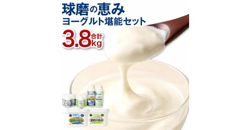 【ふるさと納税】球磨の恵み ヨーグルト 堪能 セット 合計3.8kg 加糖・砂糖不使用 ヨーグルト 1000g×各1個 のむヨーグルト 450g×各1本 150g×各3本 詰め合わせ 生乳 スイーツ 乳製品 熊本県産 国産 冷蔵 送料無料