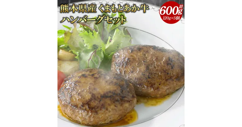 【ふるさと納税】熊本県産くまもとあか牛ハンバーグセット 120g×5個 合計600g 牛肉 和牛 赤牛 お肉 肉 惣菜 グルメ 国産 冷凍 熊本県 九州産 送料無料