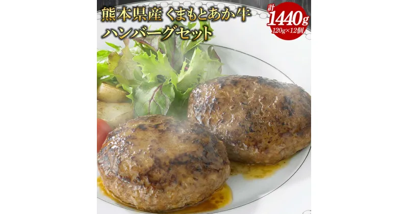 【ふるさと納税】 熊本県産くまもとあか牛ハンバーグセット 120g×12個 合計1440g あか牛 ハンバーグ 惣菜 和牛 牛肉 お肉 肉 加工品 冷凍 食品 簡単調理 熊本 国産 送料無料