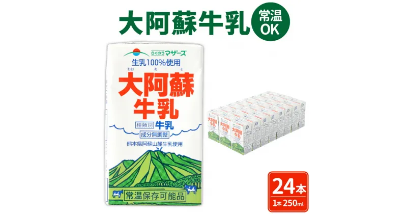 【ふるさと納税】大阿蘇牛乳 250ml×24本 1ケース 牛乳 成分無調整牛乳 生乳100%使用 乳飲料 乳性飲料 ドリンク 飲み物 飲料 セット 紙パック 常温保存可能 ロングライフ 九州 熊本県 送料無料