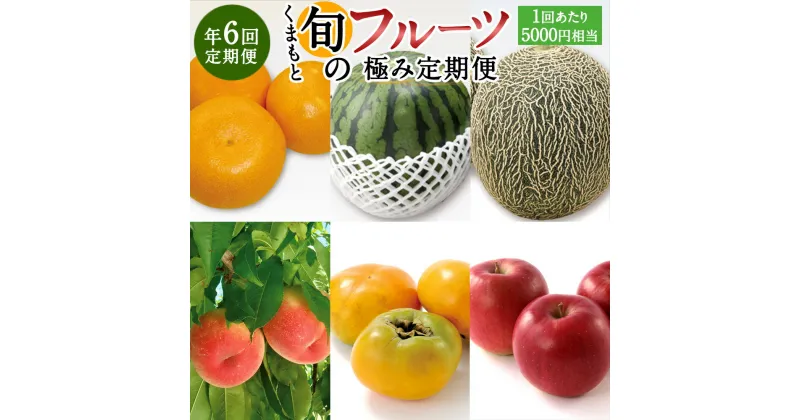 【ふるさと納税】【年6回定期便】くまもと旬のフルーツ極み定期便1（1回あたり5,000円相当）果物 くだもの 季節 フルーツ 詰め合わせ セット デコポン マンゴー 桃 ぶどう すいか 旬 定期便 6ヵ月 お楽しみ 九州 熊本県 送料無料