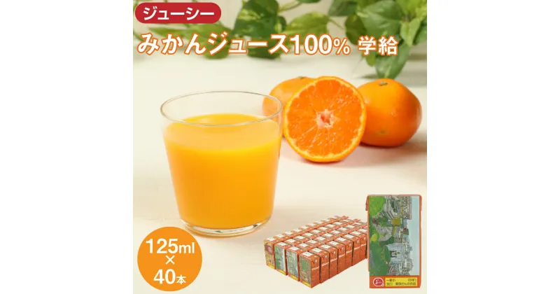 【ふるさと納税】ジューシー みかんジュース100％ 学給 125ml×40本 合計5,000ml 5L 蜜柑ジュース ミカンジュース オレンジジュース 紙パック 果汁 国産 九州 熊本県 送料無料