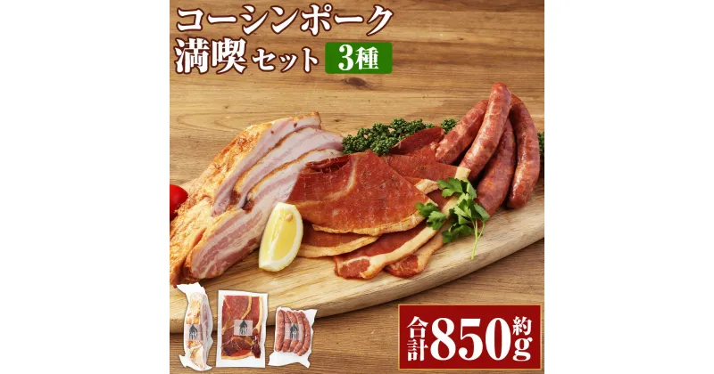 【ふるさと納税】コーシンポーク 満喫セット 約850g 3種 タン・フランクソーセージ スモーク・ベーコンハム スモークド・ポークジャーキー 豚肉 ベーコン ハム ブロック 肉 お肉 燻製 おつまみ お取り寄せ グルメ 詰め合わせ 食べ比べ 冷凍 九州 熊本県 送料無料