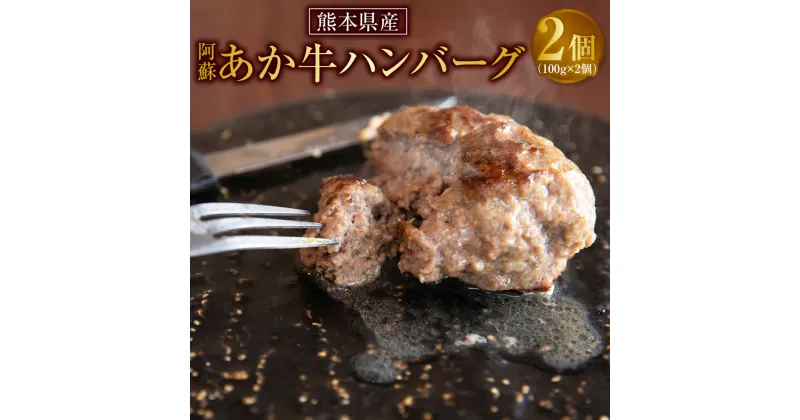 【ふるさと納税】阿蘇 あか牛 ハンバーグ 2個 100g×2個 牛肉 肉 お肉 赤牛 あかうし 和牛 惣菜 グルメ おかず 国産 冷凍 九州 熊本県 送料無料