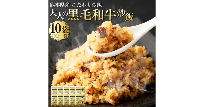 【ふるさと納税】熊本県産 こだわり炒飯 大人の黒毛和牛炒飯 合計2.3kg 230g×10袋 10食分 黒毛和牛 炒飯 冷凍炒飯 チャーハン 惣菜 国産 温めるだけ 簡単調理 冷凍 九州 熊本県 送料無料