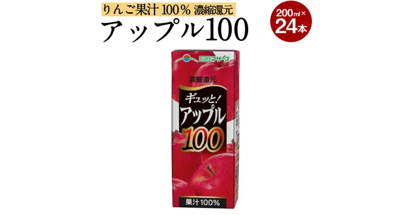 【ふるさと納税】アップル100 200ml 24本 合計4,800ml 4.8L アップルジュース 果汁100％ 林檎 りんご リンゴ ジュース りんごジュース 紙パック 常温 長期保存 九州 熊本県 送料無料