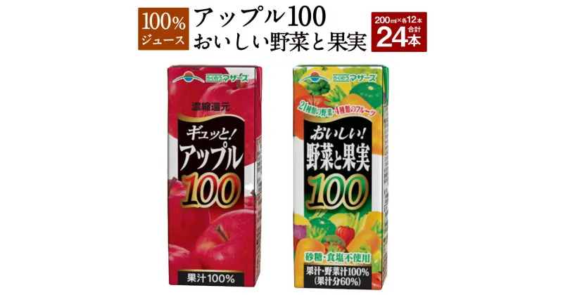 【ふるさと納税】アップル100とおいしい野菜と果実のセット 合計24本 200ml×各12本 合計4,800ml 4.8L 2種 セット アップルジュース 果汁100％ 林檎 りんご リンゴ ジュース 100％ジュース ミックスジュース 柑橘風味 紙パック 常温 長期保存 九州 熊本県 送料無料