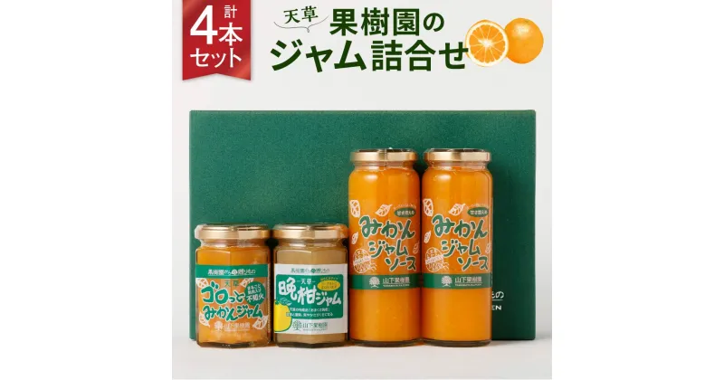 【ふるさと納税】熊本 ・ 天草 の 果樹園 ジャム 詰め合わせ 4本 合計770g 3種 みかんジャム オレンジ みかん 柑橘 蜜柑 ジャム瓶 セット ギフト 常温 熊本産 贈答 お取り寄せ 送料無料