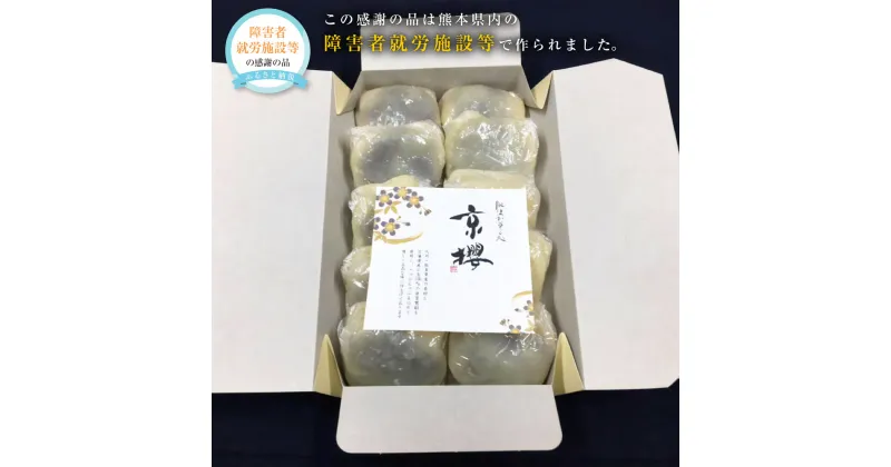 【ふるさと納税】いきなり団子 10個 1個あたり90g~100g いきなりだんご 熊本名物 茶菓子 和菓子 スイーツ お菓子 芋 あんこ さつまいも 郷土菓子 お土産 ギフト お取り寄せ 冷凍 熊本県 送料無料