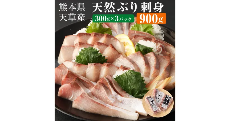 【ふるさと納税】熊本県 天草産 天然ぶり 刺身 （ブロック） 約900g 300g×3パック ブリ 鰤 魚 寿司 お刺身 さしみ しゃぶしゃぶ ぶりしゃぶ 海鮮 さかな サカナ 魚介類 魚介 冷凍 九州 送料無料