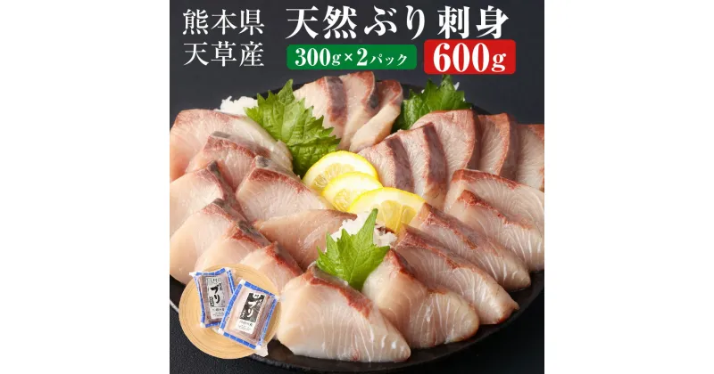 【ふるさと納税】熊本県 天草産 天然ぶり 刺身 （ブロック） 約600g 300g×2パック ブリ 鰤 魚 寿司 お刺身 さしみ しゃぶしゃぶ ぶりしゃぶ 海鮮 さかな サカナ 魚介類 魚介 冷凍 九州 送料無料