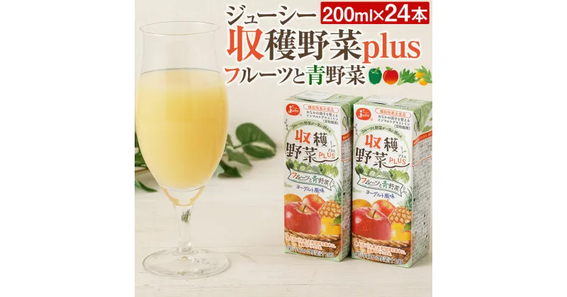 【ふるさと納税】ジューシー収穫野菜plusフルーツと青野菜 200ml×24本 計4.8L ジューシー じゅーしー 野菜ジュース フルーツジュース ヨーグルト風味 機能性表示食品 食物繊維 紙パック 送料無料