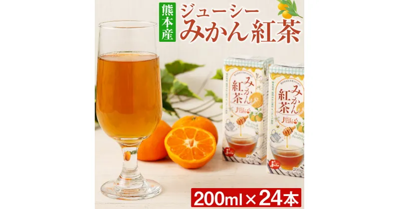 【ふるさと納税】ジューシーみかん紅茶 200ml×24本 計4.8L ジューシー じゅーしー みかんジュース 紅茶 温州みかん 果汁 はちみつ 蜂蜜 紙パック 九州 熊本県 送料無料