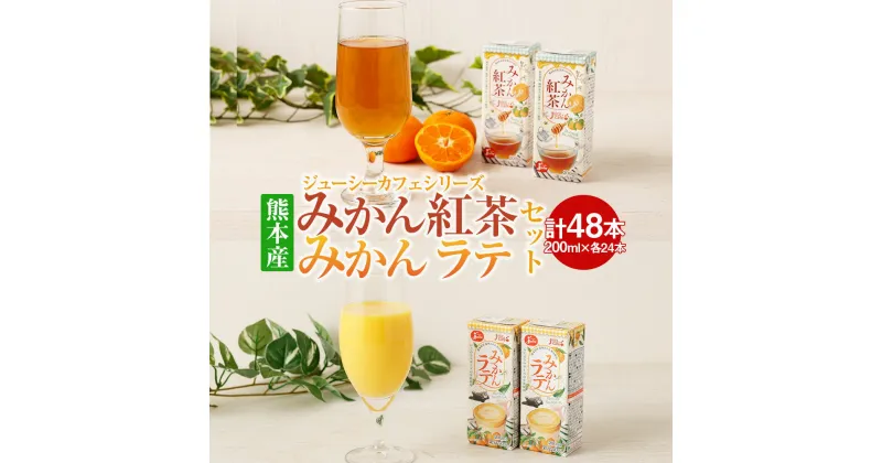 【ふるさと納税】ジューシーカフェシリーズ みかん紅茶 みかんラテ セット 200ml×各種24本 計48本 計9.6L ジューシー じゅーしー みかんジュース 紅茶 ラテ 温州みかん 果汁 牛乳 はちみつ 蜂蜜 紙パック 九州 熊本県 送料無料