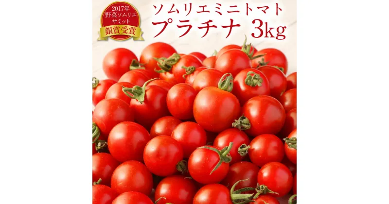 【ふるさと納税】熊本県 ソムリエミニトマト プラチナ 3kg ソムリエ トマト とまと ミニトマト 野菜 旬 新鮮 希少 高濃度 熊本県 冷蔵 送料無料 【2024年12月下旬発送開始】