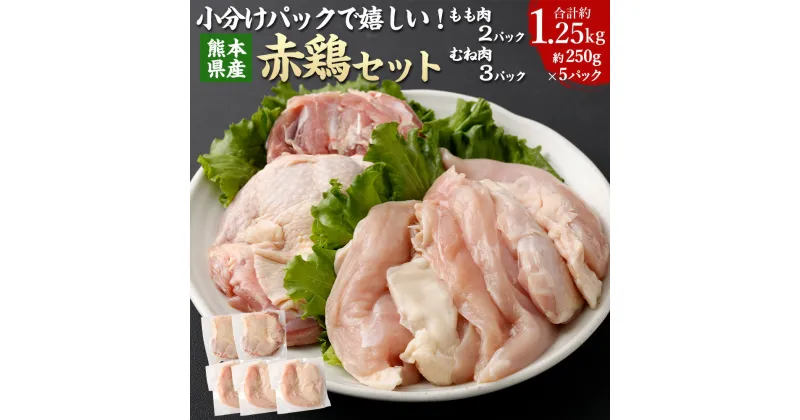 【ふるさと納税】小分けパックで嬉しい！ 熊本県産 赤鶏（もも肉2パック・むね肉3パック） 250g×5パック 計1.25kg 肉 お肉 鶏肉 もも肉 むね肉 肥後赤鶏 ステーキ 唐揚げ お鍋 サラダチキン チキン南蛮 料理 小分け 冷凍 九州 熊本県 送料無料