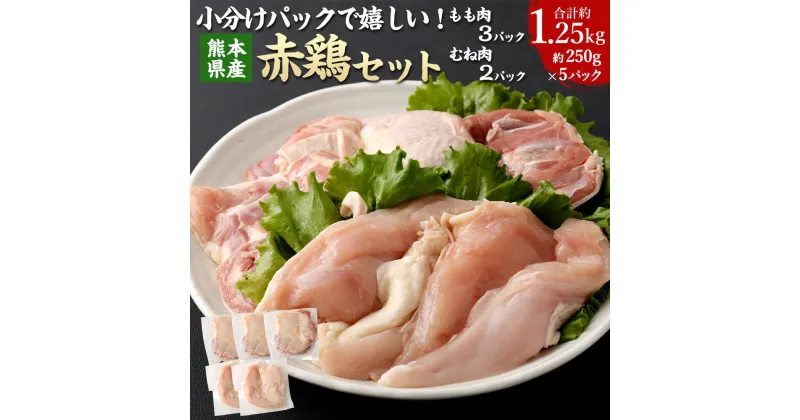 【ふるさと納税】小分けパックで嬉しい！ 熊本県産 赤鶏（もも肉3パック・むね肉2パック） 250g×5パック 計1.25kg 肉 お肉 鶏肉 もも肉 むね肉 肥後赤鶏 ステーキ 唐揚げ お鍋 サラダチキン チキン南蛮 料理 小分け 冷凍 九州 熊本県 送料無料