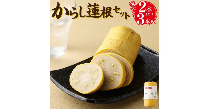 【ふるさと納税】 からし蓮根セット 2本 または 3本 からし蓮根 からしれんこん 蓮根 辛子蓮根 れんこん レンコン 熊本特産 郷土料理 おつまみ おかず グルメ 冷蔵 九州 熊本県 送料無料