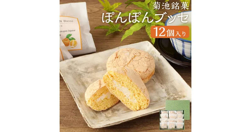 【ふるさと納税】菊池銘菓 ぽんぽんブッセ 熊本県産 1箱(12個入り) 菓子 お菓子 和菓子 洋菓子 銘菓 生菓子 菓子折り お茶菓子 不知火 デコポン デコポンジャム ジャム フルーツジャム バタークリーム サンド ブッセ 化粧箱 常温 九州 熊本県 送料無料