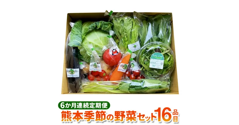 【ふるさと納税】【6か月連続定期便】熊本季節の野菜セット 16品目 定期便 全6回 6ヶ月 定期配送 野菜 セット やさい 新鮮 旬 詰合せ 詰め合わせ 冷蔵 九州 熊本県 送料無料