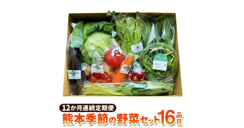 【ふるさと納税】【12か月連続定期便】熊本季節の野菜セット 16品目 定期便 全12回 定期配送 野菜 セット やさい 新鮮 旬 詰め合わせ 詰合せ 冷蔵 九州 熊本県 送料無料