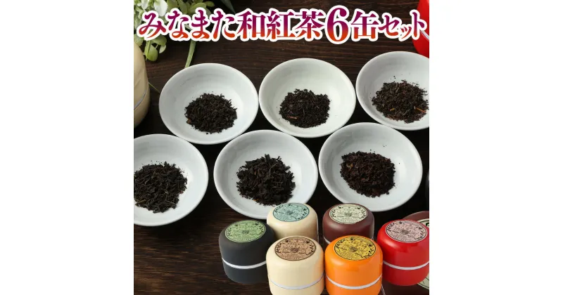 【ふるさと納税】みなまた和紅茶 6缶セット ティーバッグ 6種類 セット 天の紅茶 紅茶ティーバッグ ゆのつる和紅茶 夏摘み在来種 みなまた和紅茶 ～ten～天 和紅茶 紅茶 マカロン缶 ギフト 贈り物 プレゼント 熊本県産 九州 国産 熊本県 常温 送料無料