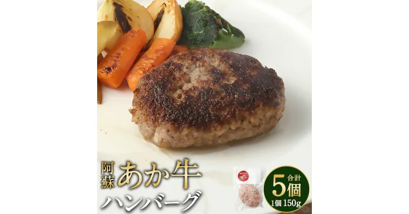 【ふるさと納税】阿蘇あか牛ハンバーグ 150g×5個 合計750g 肉 お肉 牛肉 惣菜 ハンバーグ おかず 阿蘇 あか牛 和牛 和牛肉 お取り寄せ 国産牛 冷凍 九州 熊本県 送料無料