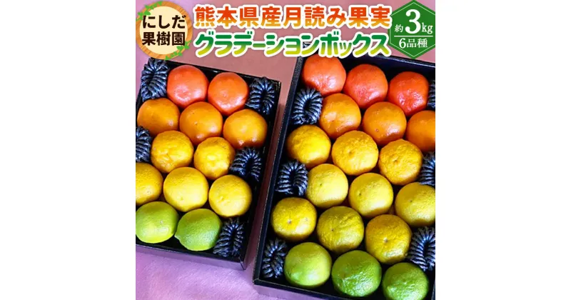 【ふるさと納税】にしだ果樹園の熊本県産 月読み果実 グラデーションボックス 6品種 約3kg 6種 詰め合わせ 詰合せ にしだ果樹園 柑橘 カボス みかん 密柑 スダチ 柚子 フルーツ 果実 果物 くだもの 化粧箱 常温 九州 熊本県 送料無料 【2024年12月上旬発送開始】