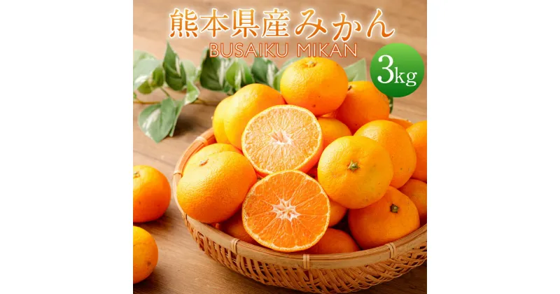 【ふるさと納税】熊本県産 みかん BUSAIKU MIKAN 約3kg 温州みかん ミカン 密柑 柑橘 フルーツ くだもの 果物 果実 常温 九州 熊本県 送料無料 【2024年10月上旬発送開始】