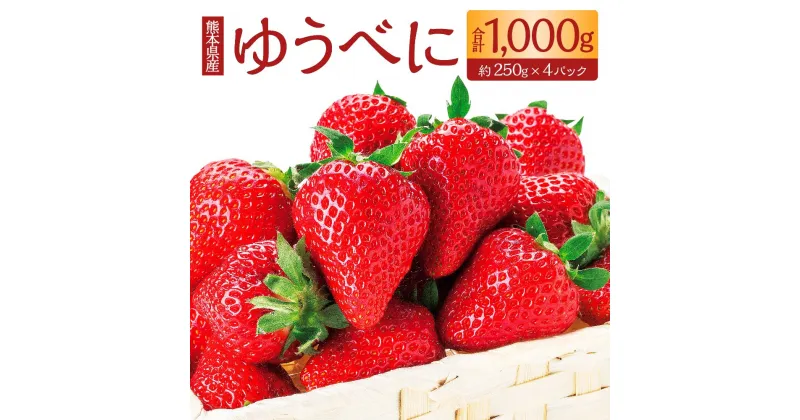 【ふるさと納税】ゆうべに 250g × 2パック × 2箱 4パック 合計1000g 1kg いちご 熊本県産 オリジナルいちご 苺 イチゴ 冷蔵 九州 熊本県 送料無料 【2025年2月上旬発送開始】