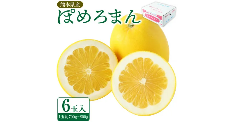 【ふるさと納税】ぽめろまん 大玉6個入り 1玉約700～800g 温室栽培 果物 フルーツ 柑橘 希少 文旦系の果物 みかん 玉名 国産 熊本県 送料無料 【2025年1月下旬発送開始】