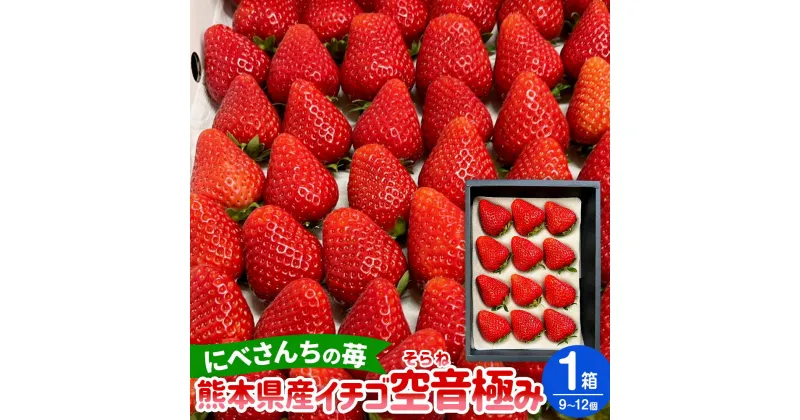 【ふるさと納税】にべさんちの苺 熊本県産 イチゴ 空音(そらね) 極み 1箱 9～12個 いちご 苺 フルーツ 果物 果実 くだもの 冷蔵 九州 熊本県 送料無料 【2025年1月下旬発送開始】