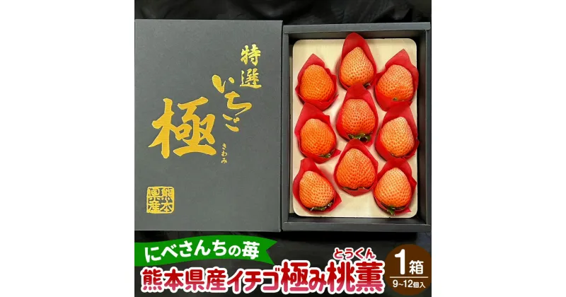 【ふるさと納税】にべさんちの苺 熊本県産 イチゴ 極み 桃薫(とうくん) 1箱(9～12個) 苺 いちご 果物 果実 フルーツ くだもの 冷蔵 九州 熊本県 送料無料 【2025年1月下旬発送開始】