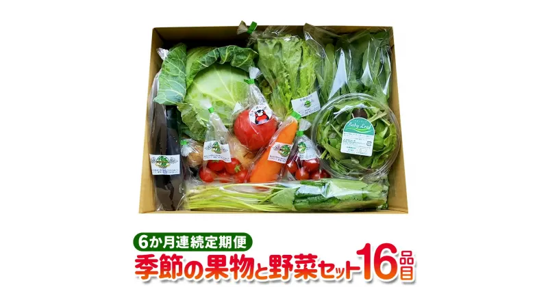 【ふるさと納税】【6か月連続定期便】季節の果物と野菜セット 16品目 定期便 全6回 定期配送 野菜 セット やさい 新鮮 旬 果物 くだもの フルーツ 季節 詰合せ 詰め合わせ 冷蔵 九州 熊本県 送料無料