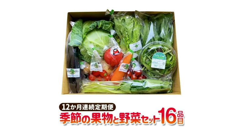 【ふるさと納税】【12か月連続定期便】季節の果物と野菜セット 16品目 定期便 全12回 定期配送 野菜 セット やさい 新鮮 旬 果物 くだもの フルーツ 季節 詰め合わせ 詰合せ 冷蔵 九州 熊本県 送料無料