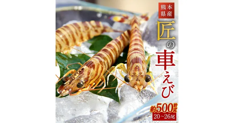 【ふるさと納税】熊本県産匠の車えび（活き締め急速冷凍） 約250g×2パック（20～26尾） 合計約500g くるまえび 海老 車海老 車えび 魚介 魚貝 冷凍 レシピ付き 九州 熊本県 送料無料