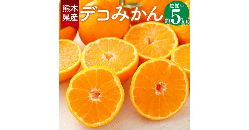 【ふるさと納税】熊本県産 デコみかん 約5kg ※梱包材・箱別の重量 粒揃い 不知火 しらぬい 果物 フルーツ 柑橘 贈答用 プレゼント 九州 熊本県 送料無料 【2025年2月上旬発送開始】