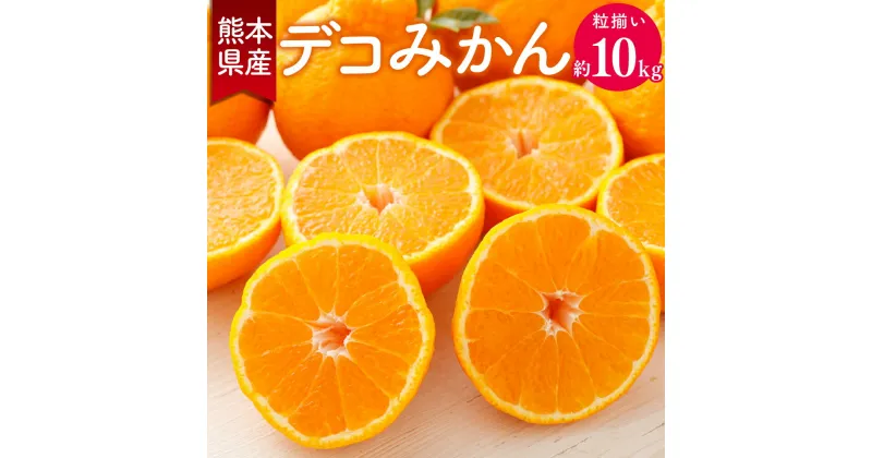 【ふるさと納税】熊本県産 デコみかん 約10kg 5kg×2箱 ※梱包材・箱別の重量 粒揃い 不知火 しらぬい 果物 フルーツ 柑橘 贈答用 プレゼント 九州 熊本県 送料無料 【2025年2月上旬発送開始】