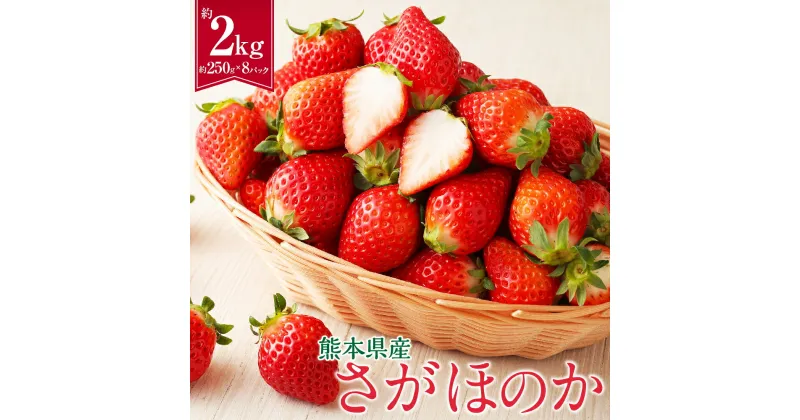 【ふるさと納税】熊本県産 さがほのか 合計約2kg 約250g×8パック いちご イチゴ 苺 フルーツ 果物 九州 熊本県 宇城市 冷蔵 送料無料 【2025年2月上旬発送開始】